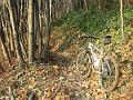 bici olera 034